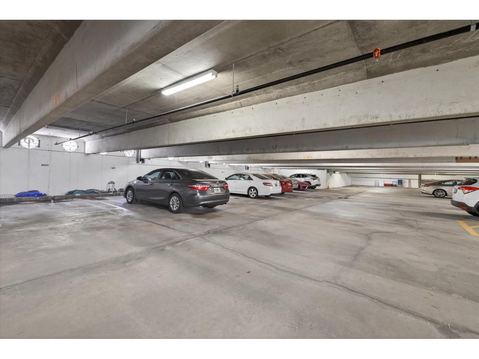 4141 Bayshore Boulevard #2001 Tampa FL 33611 TB8493325 image43