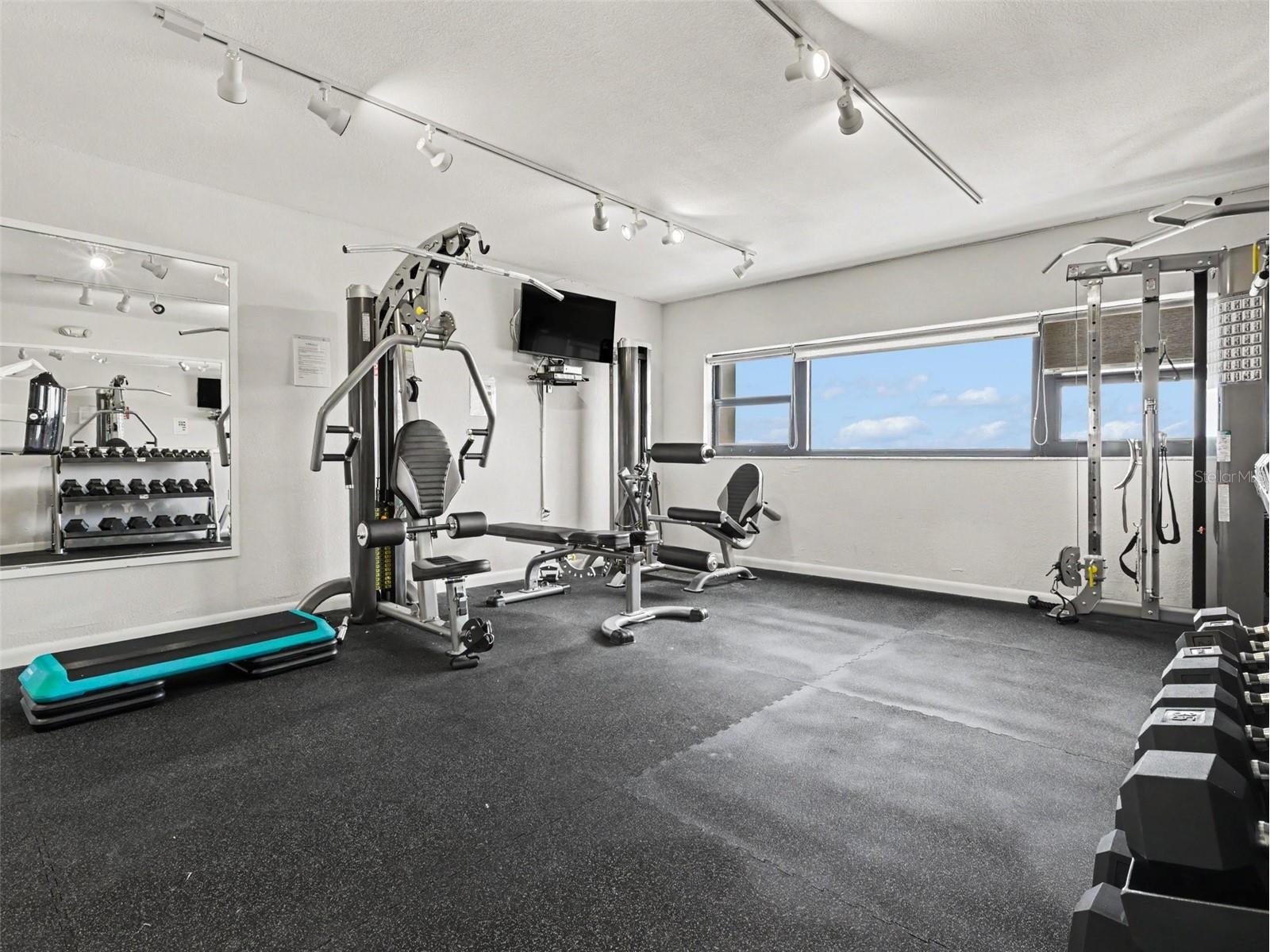 4141 Bayshore Boulevard #202 Tampa FL 33611 A4698278 image29