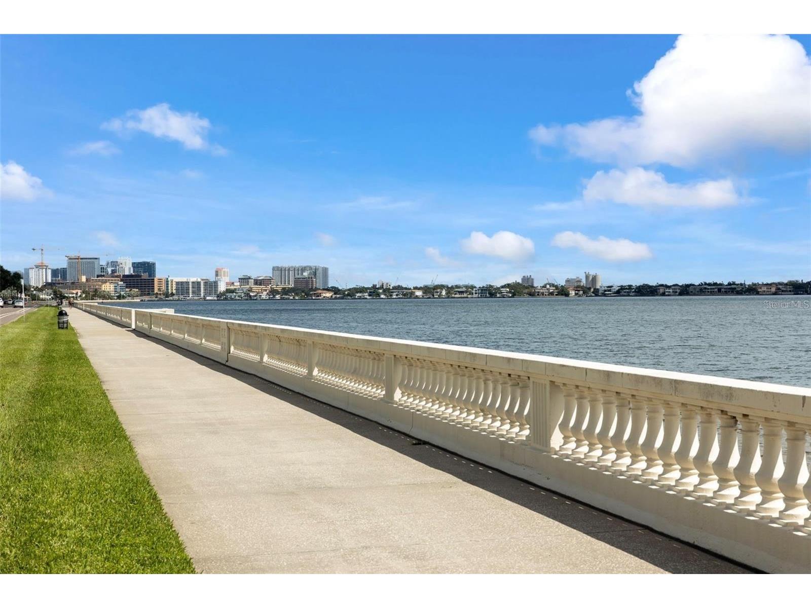 4141 Bayshore Boulevard #306 Tampa FL 33611 - TAMPA BAY TB8526450 image32
