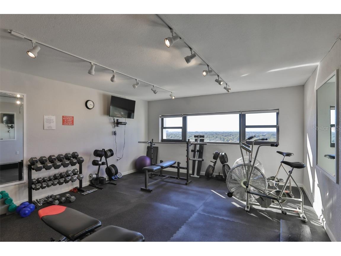 4141 Bayshore Boulevard #603 Tampa FL 33611 TB8453185 image30