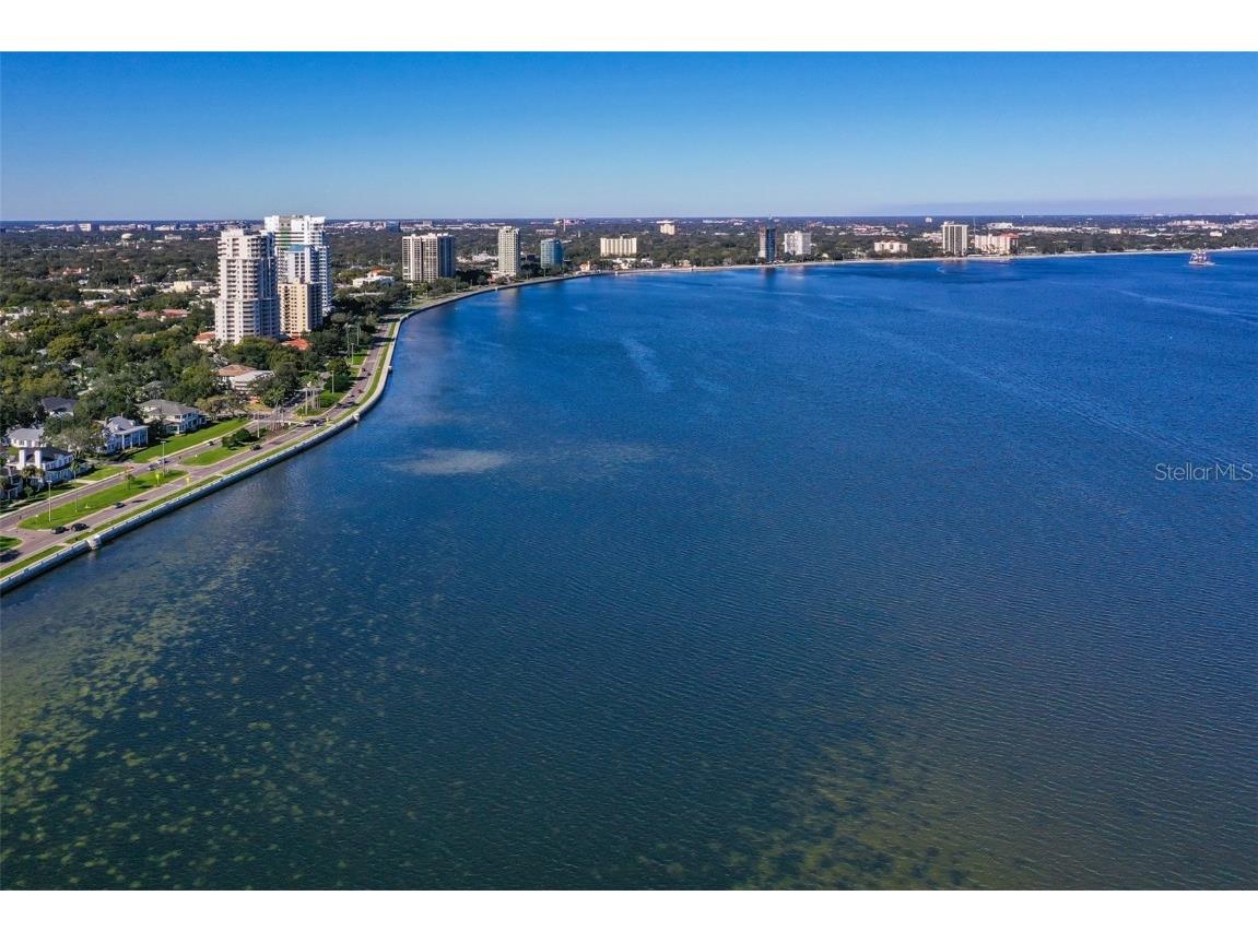 4141 Bayshore Boulevard #603 Tampa FL 33611 TB8453185 image43