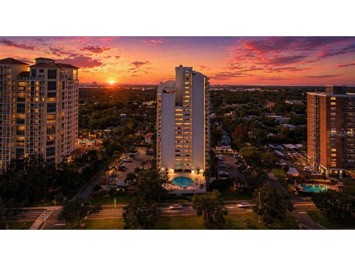 4141 Bayshore Boulevard #606 Tampa FL 33611 TB8502316 image1