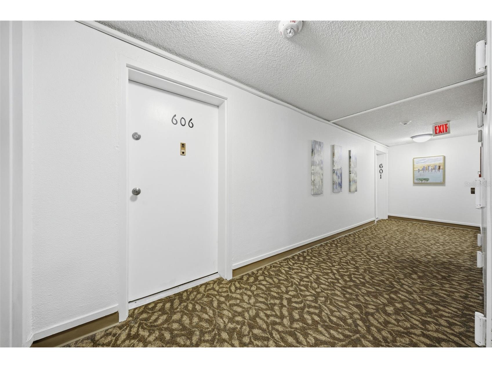 4141 Bayshore Boulevard #606 Tampa FL 33611 TB8502316 image3