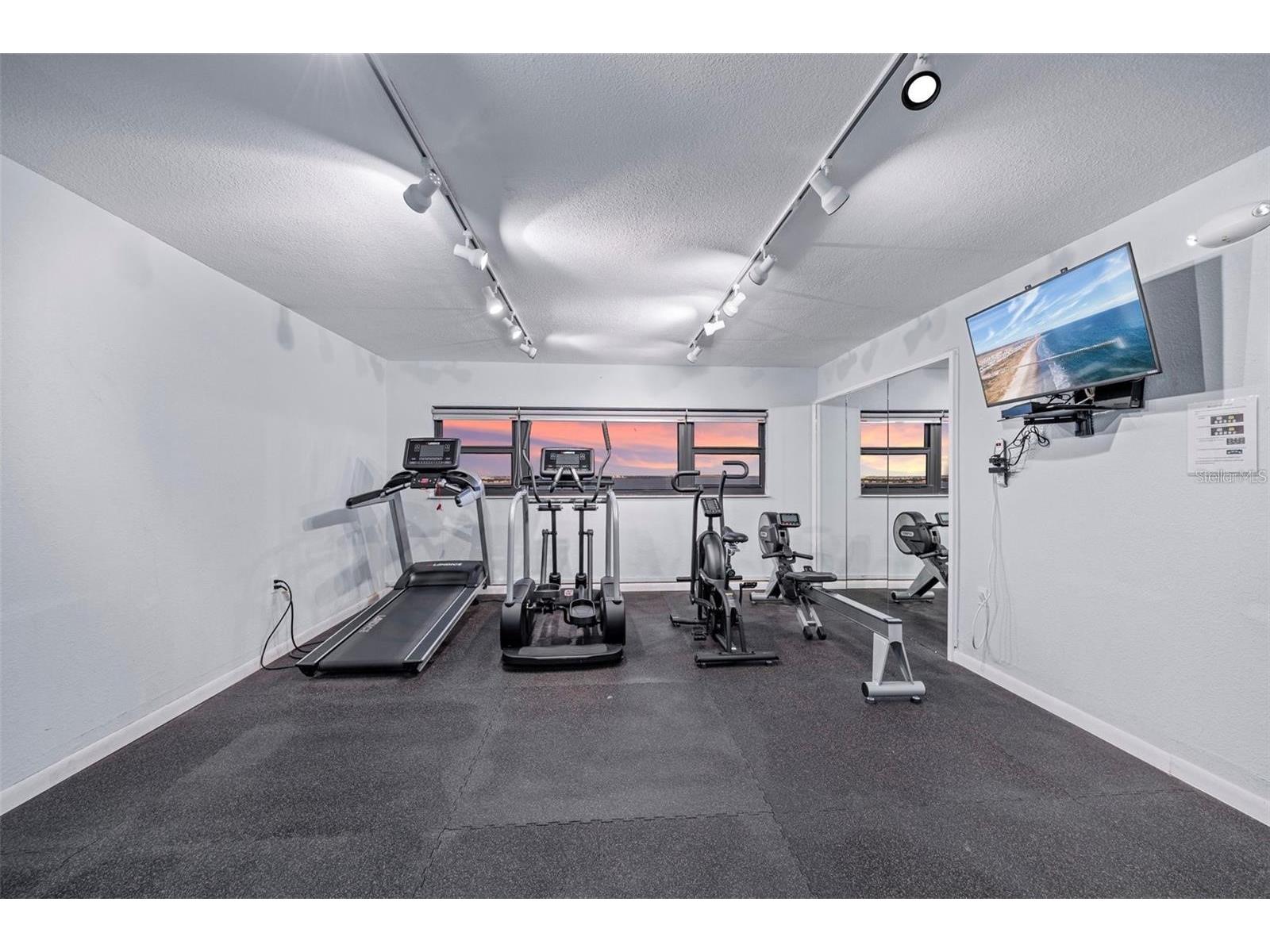 4141 Bayshore Boulevard #706 Tampa FL 33611 - TAMPA BAY TB8516233 image24