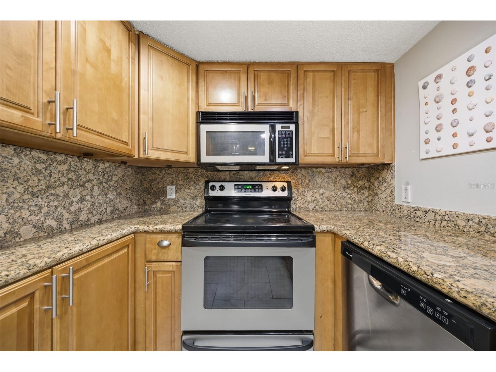 4141 Bayshore Boulevard #706 Tampa FL 33611 - TAMPA BAY TB8516233 image4
