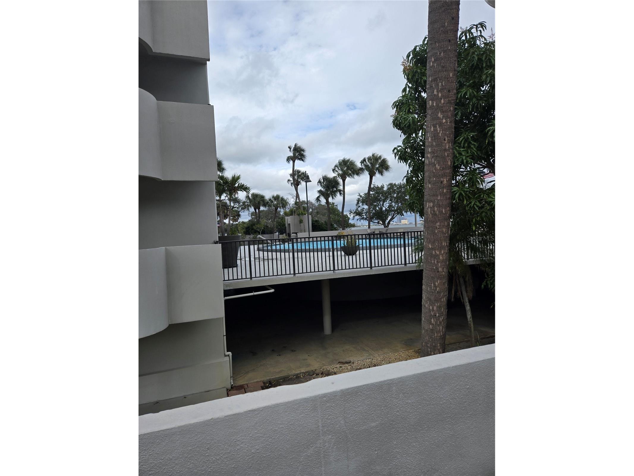 4141 Bayshore Boulevard S #1502 Tampa FL 33611 - TAMPA BAY TB8465550 image12