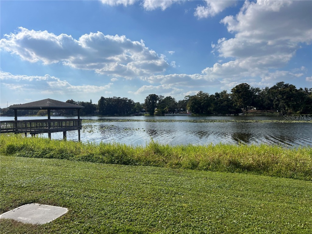 4141 Dolphin Drive #4141 Tampa FL 33617 - HILLSBOROUGH RIVER TB8449808 image19