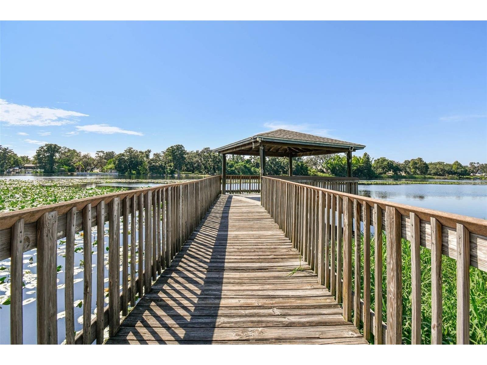 4141 Dolphin Drive #4141 Tampa FL 33617 - HILLSBOROUGH RIVER TB8493625 image21