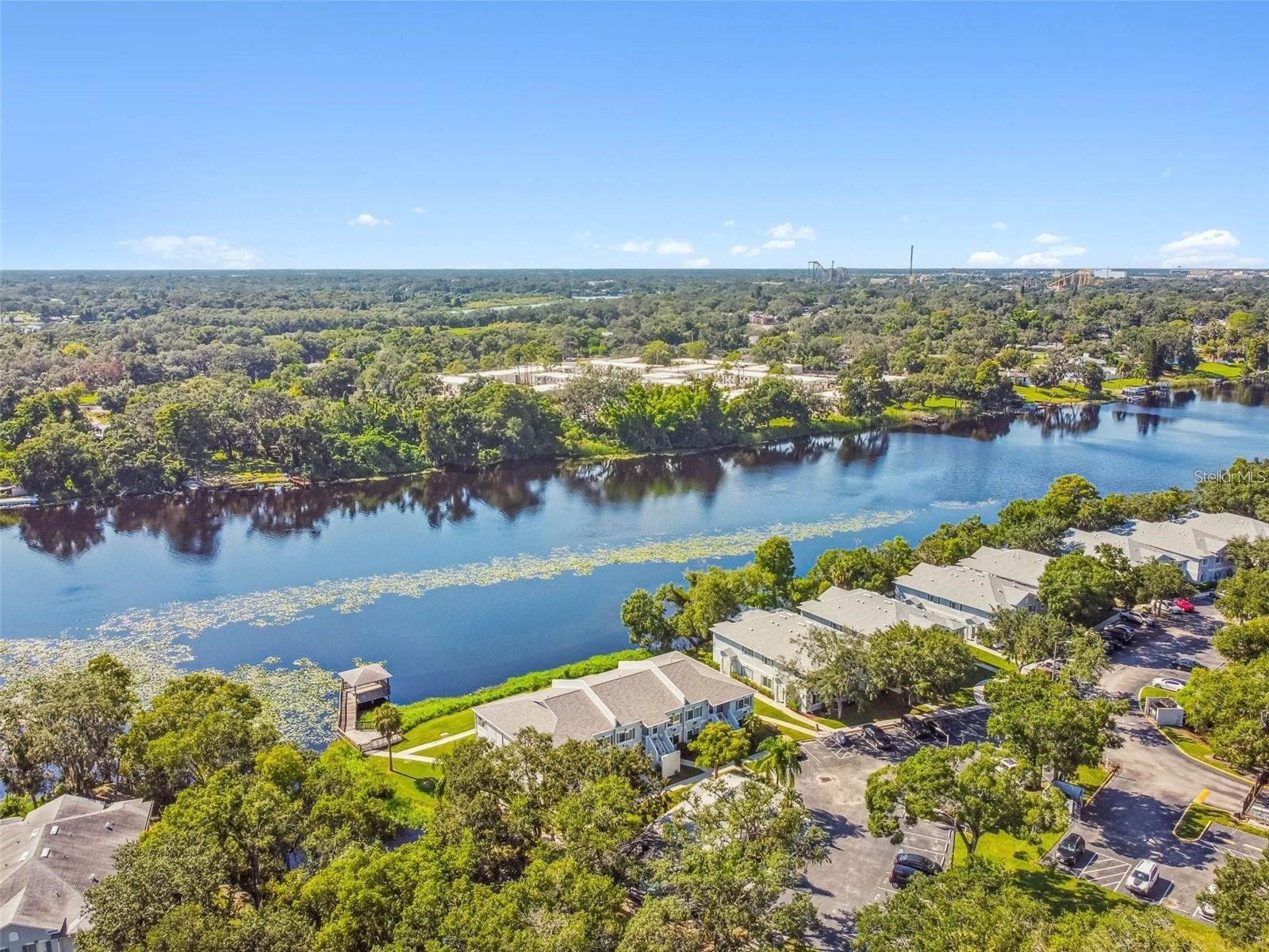 4141 Dolphin Drive #4141 Tampa FL 33617 - HILLSBOROUGH RIVER TB8493625 image24