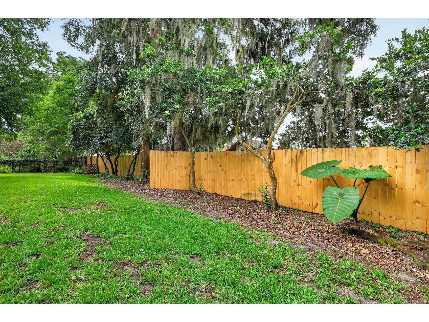 4141 Lake Forest Street Mount Dora FL 32757 G5112326 image43