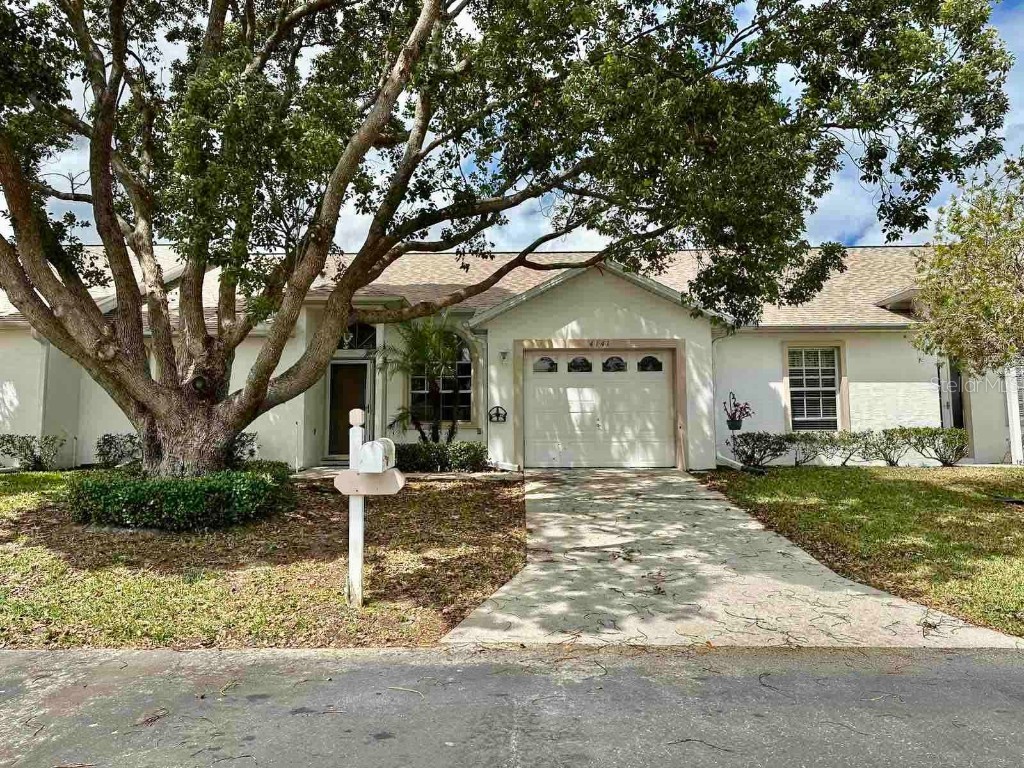 4141 Rhone Drive New Port Richey FL 34655 U8197715 image1