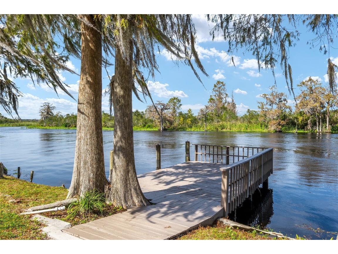 4141 W Ridge Lane Dunnellon FL 34433 - WITHLACOOCHEE RIVER TB8324419 image1