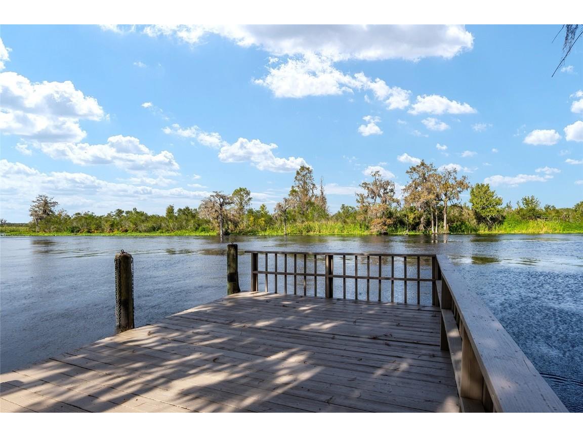 4141 W Ridge Lane Dunnellon FL 34433 - WITHLACOOCHEE RIVER TB8324419 image4