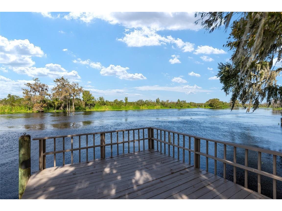 4141 W Ridge Lane Dunnellon FL 34433 - WITHLACOOCHEE RIVER TB8324419 image81