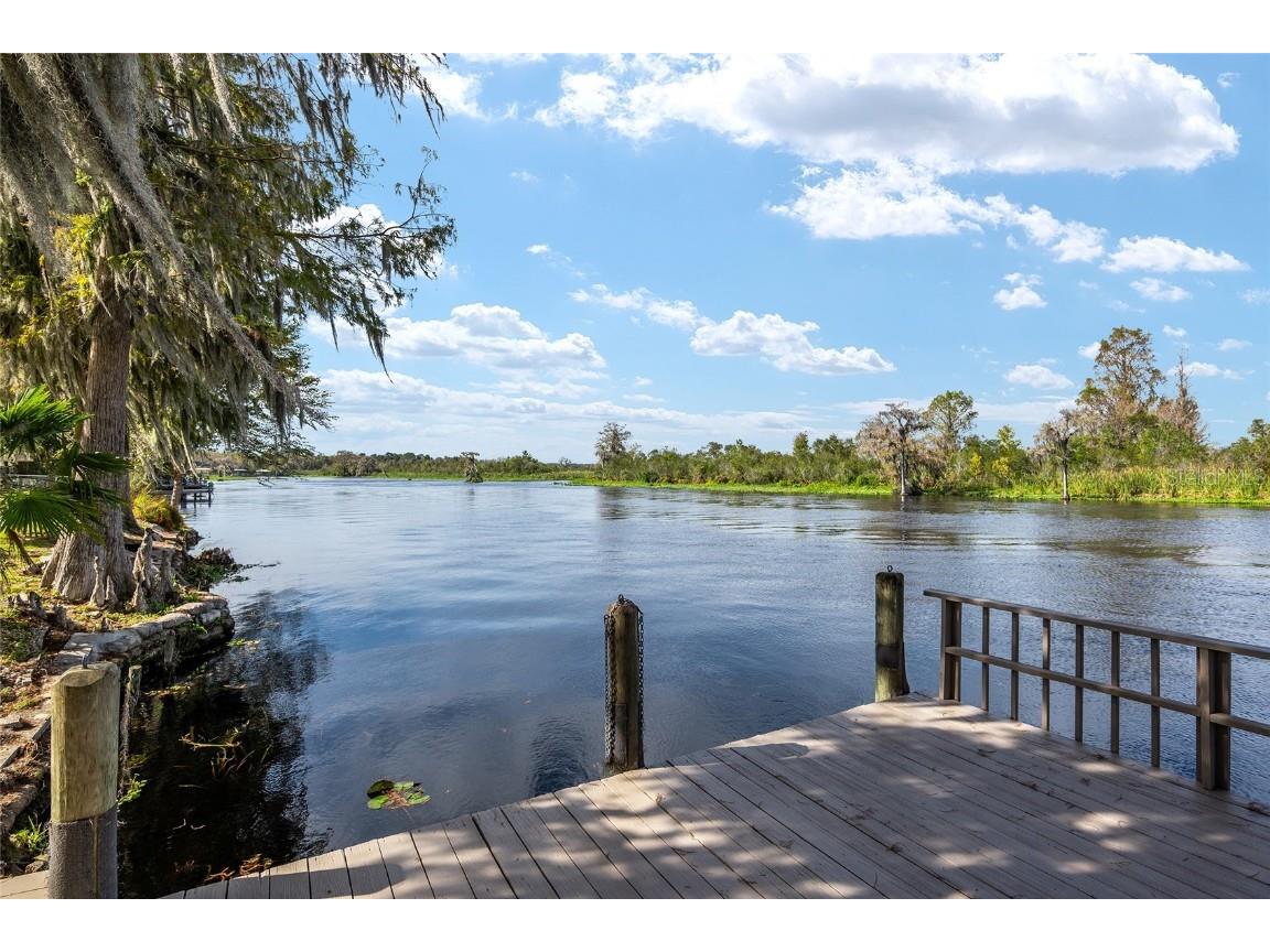 4141 W Ridge Lane Dunnellon FL 34433 - WITHLACOOCHEE RIVER TB8324419 image83