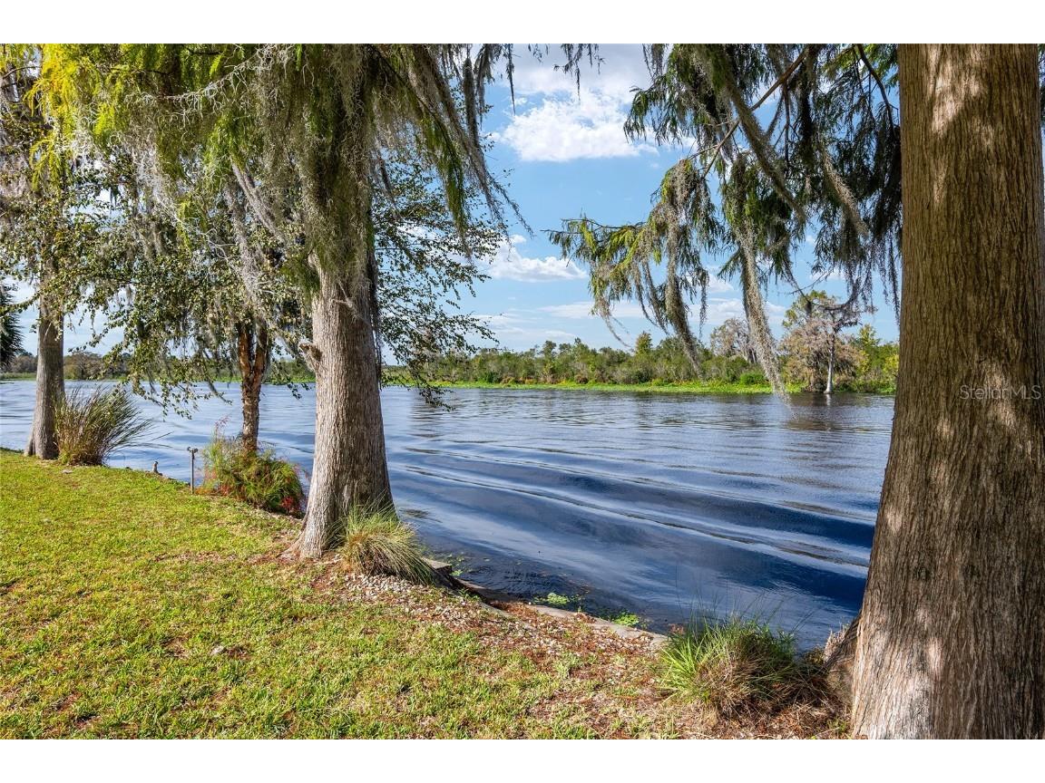 4141 W Ridge Lane Dunnellon FL 34433 - WITHLACOOCHEE RIVER TB8324419 image84