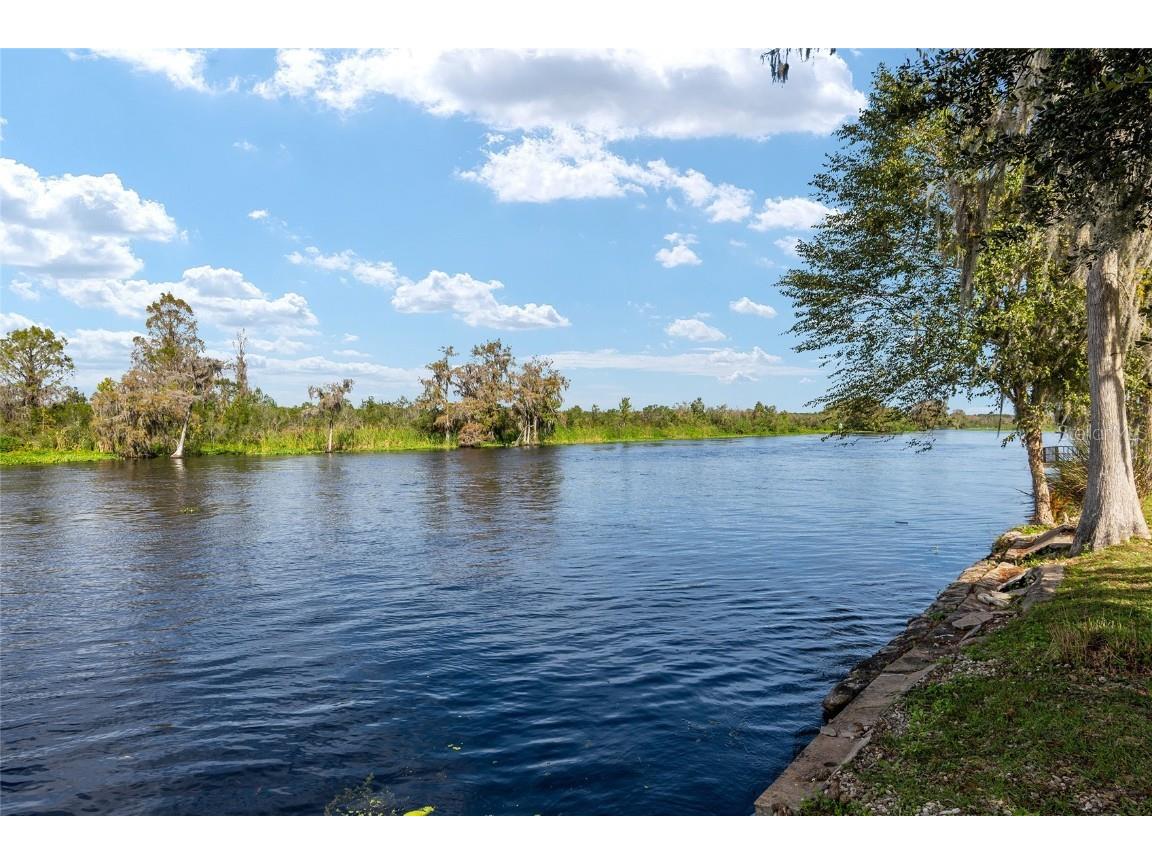 4141 W Ridge Lane Dunnellon FL 34433 - WITHLACOOCHEE RIVER TB8324419 image85