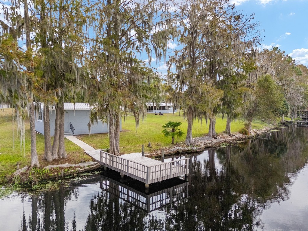 4141 W Ridge Lane Dunnellon FL 34433 - WITHLACOOCHEE RIVER TB8324419 image90