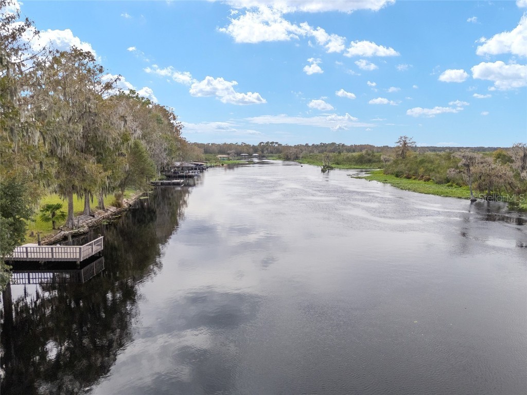 4141 W Ridge Lane Dunnellon FL 34433 - WITHLACOOCHEE RIVER TB8324419 image91