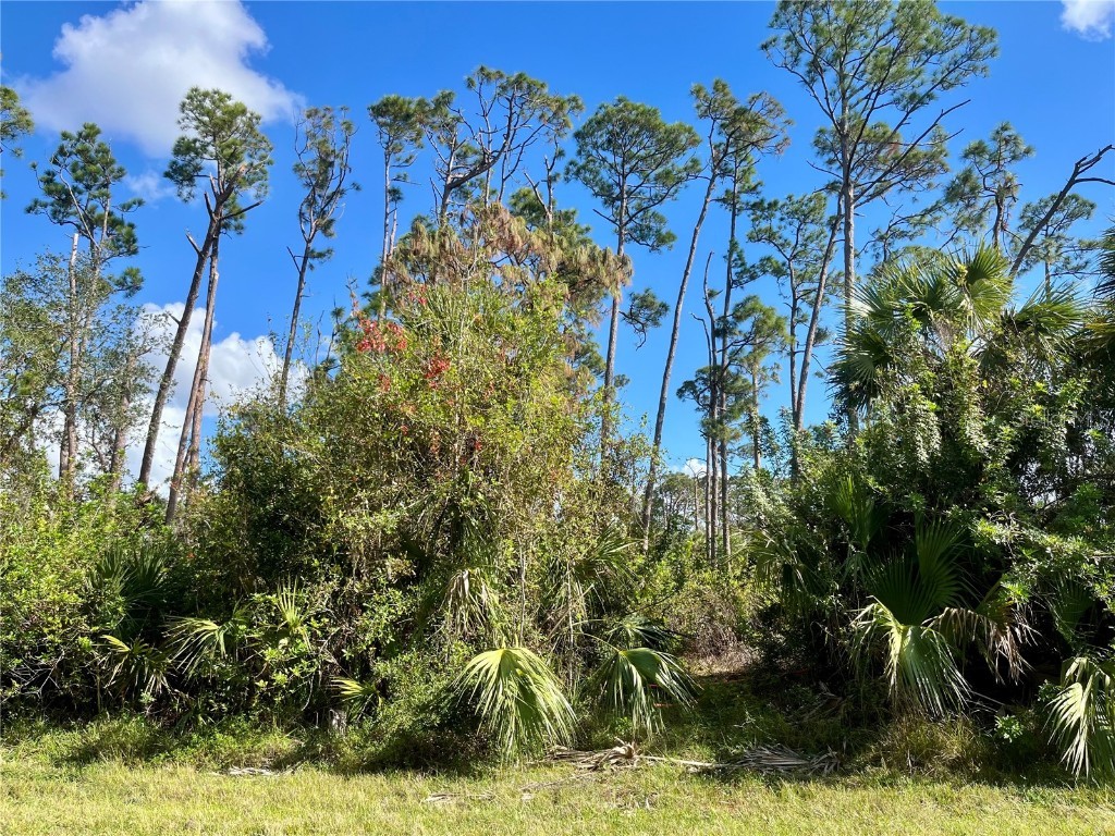 4142 Winona Street Port Charlotte FL 33948 C7502751 image2