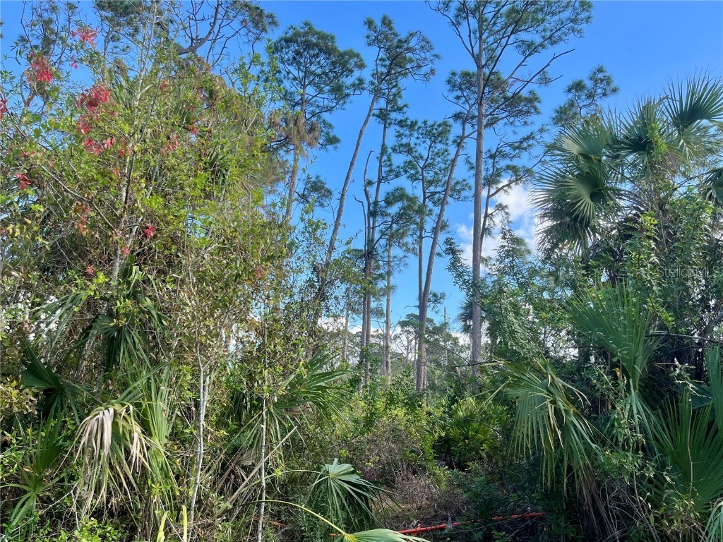 4142 Winona Street Port Charlotte FL 33948 C7502751 image4