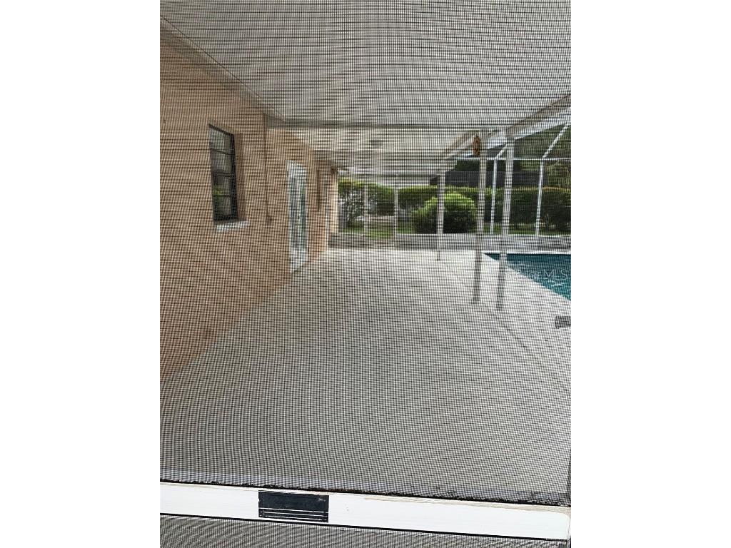 4143 Montano Avenue Spring Hill FL 34609 W7881215 image4