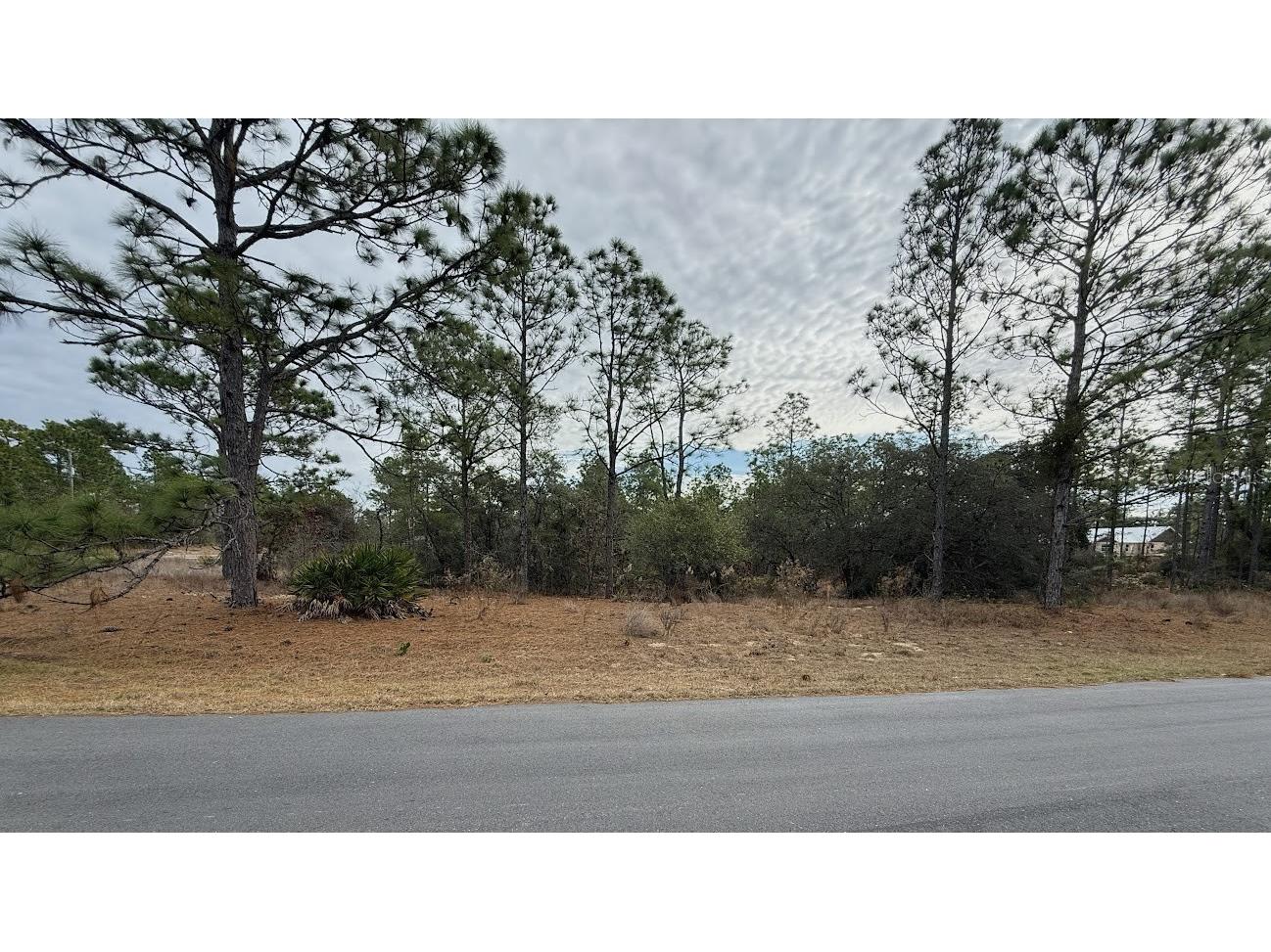 4143 W Dorchester Circle Dunnellon FL 34433 W7882351 image1