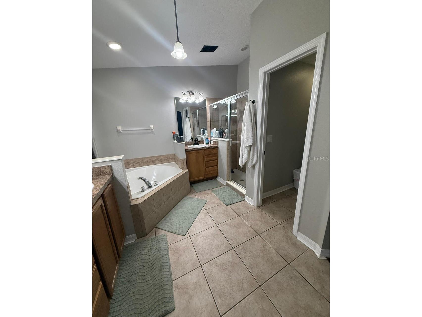 41430 Roger Giles Road Umatilla FL 32784 G5112109 image12