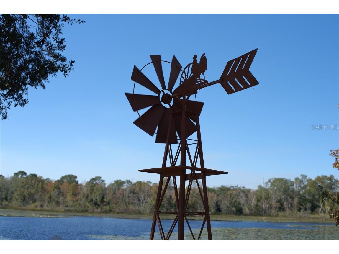 4144 Pelee Street Orlando FL 32817 - LAKE HALL O6366972 image47