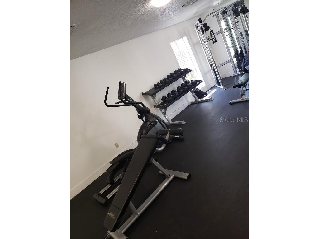 4145 Dolphin Drive #4145 Tampa FL 33617 TB8433224 image26