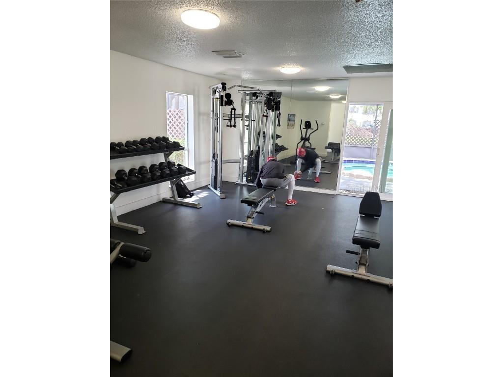 4145 Dolphin Drive #4145 Tampa FL 33617 TB8433224 image27