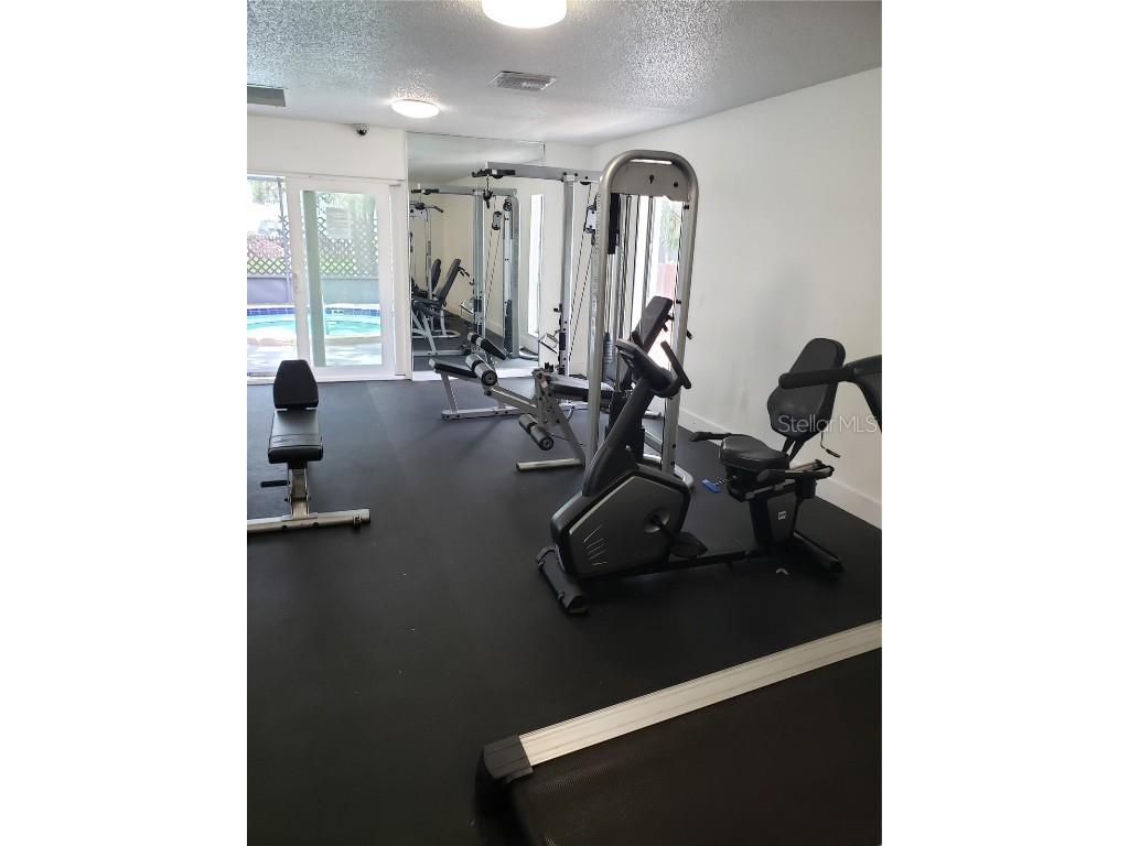 4145 Dolphin Drive #4145 Tampa FL 33617 TB8433224 image28