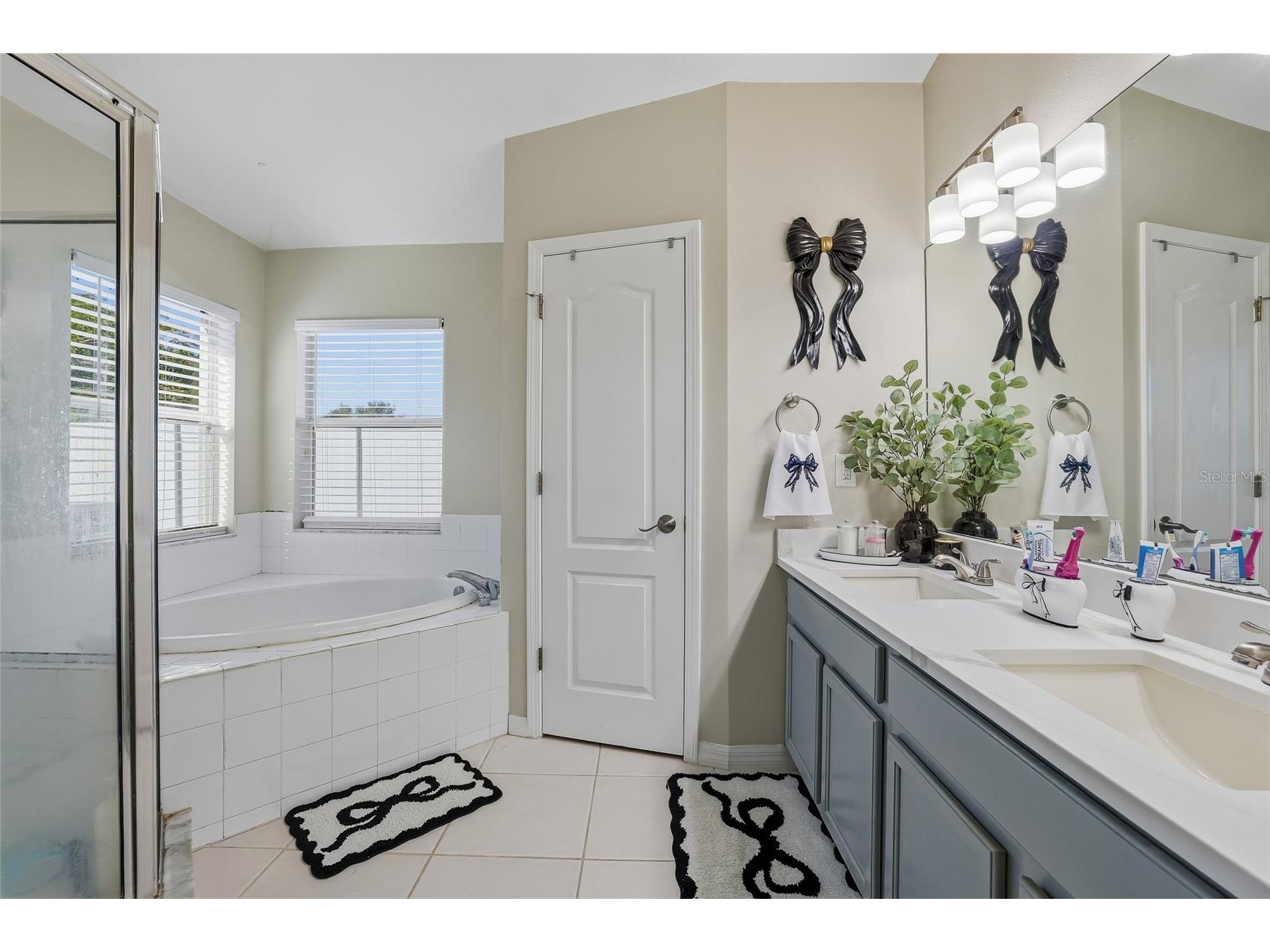 4145 Medbury Drive Wesley Chapel FL 33543 TB8464306 image27