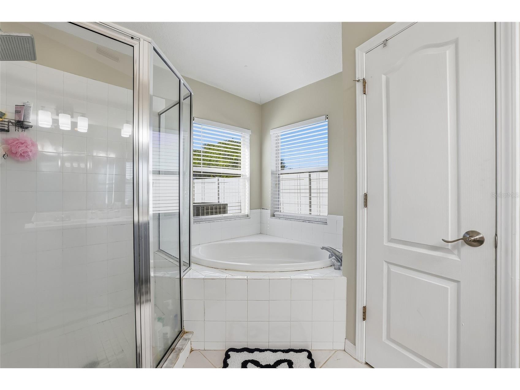 4145 Medbury Drive Wesley Chapel FL 33543 TB8464306 image29