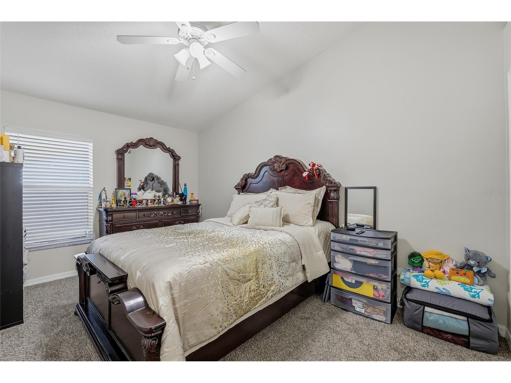 4145 Medbury Drive Wesley Chapel FL 33543 TB8464306 image32