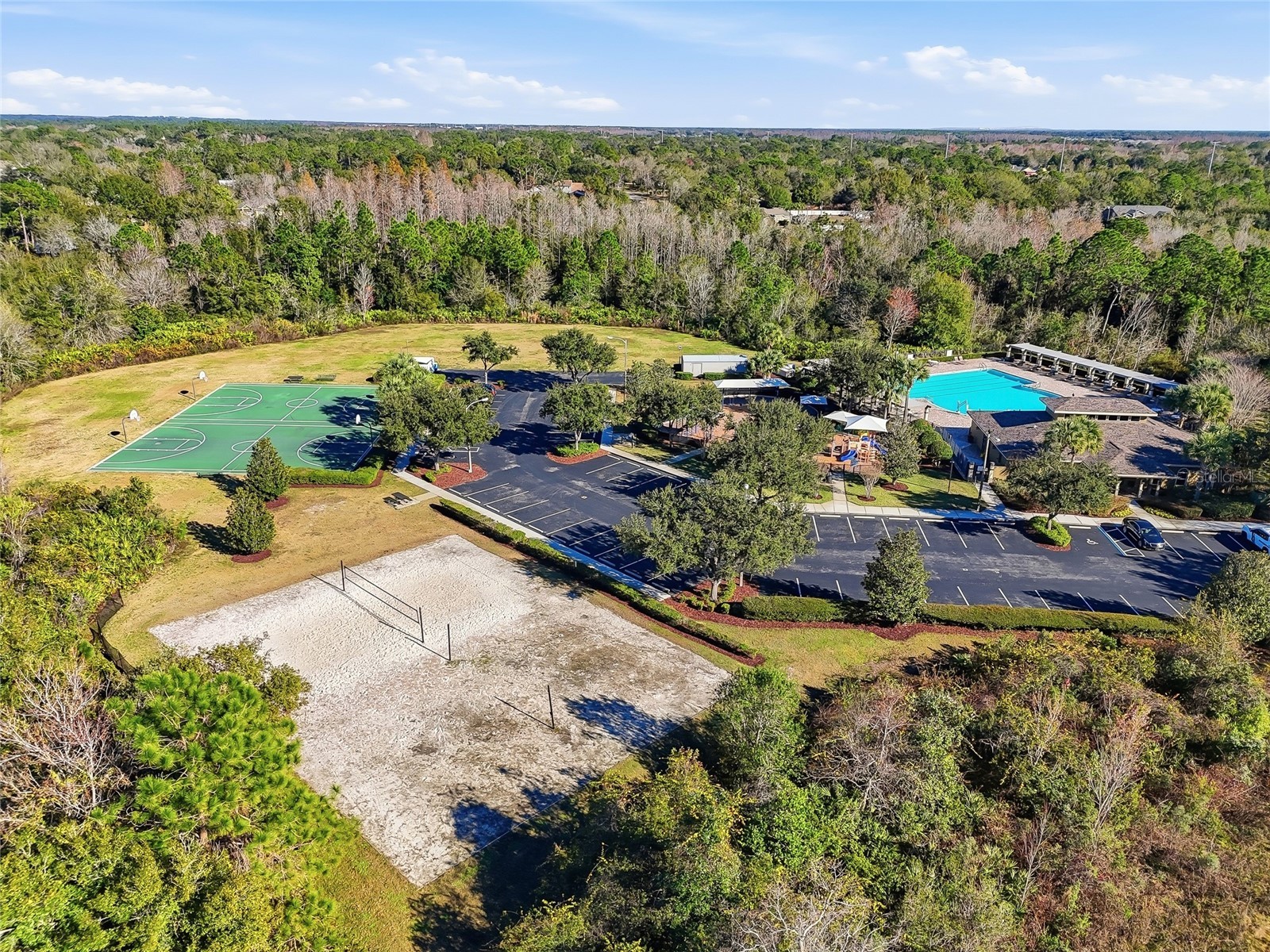 4145 Medbury Drive Wesley Chapel FL 33543 TB8464306 image45