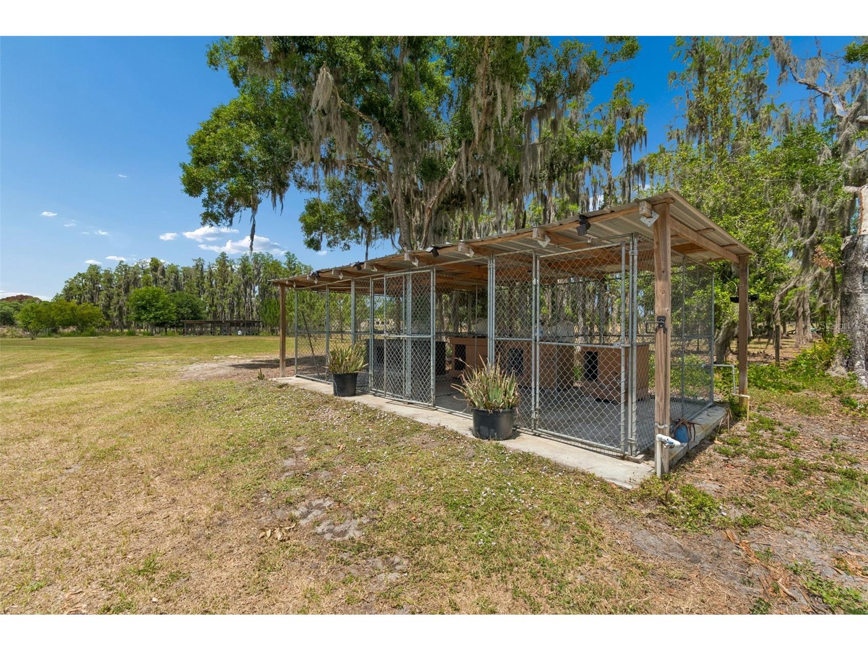 41451 Nipper Road Zephyrhills FL 33540 TB8505407 image38