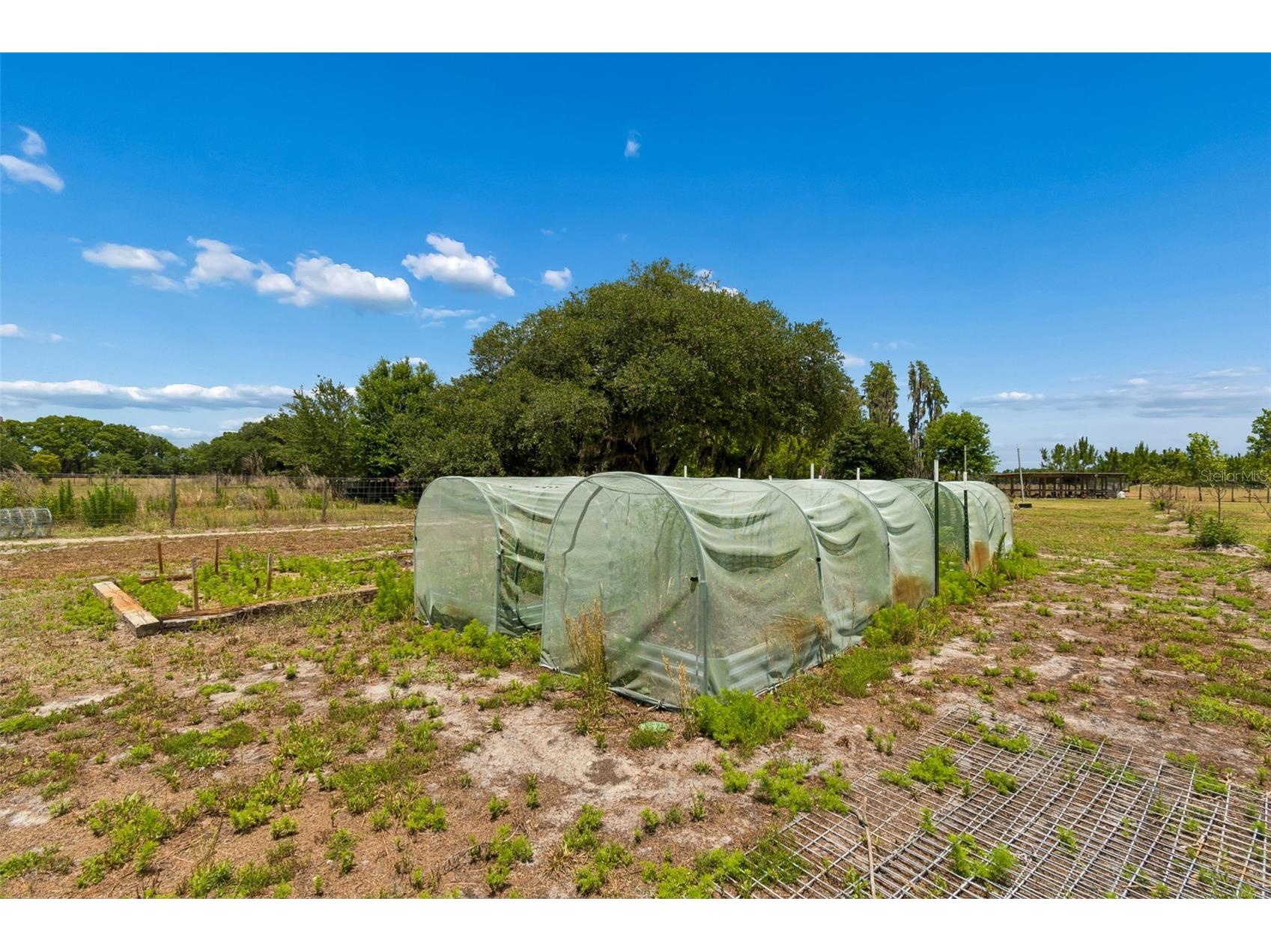41451 Nipper Road Zephyrhills FL 33540 TB8505407 image41