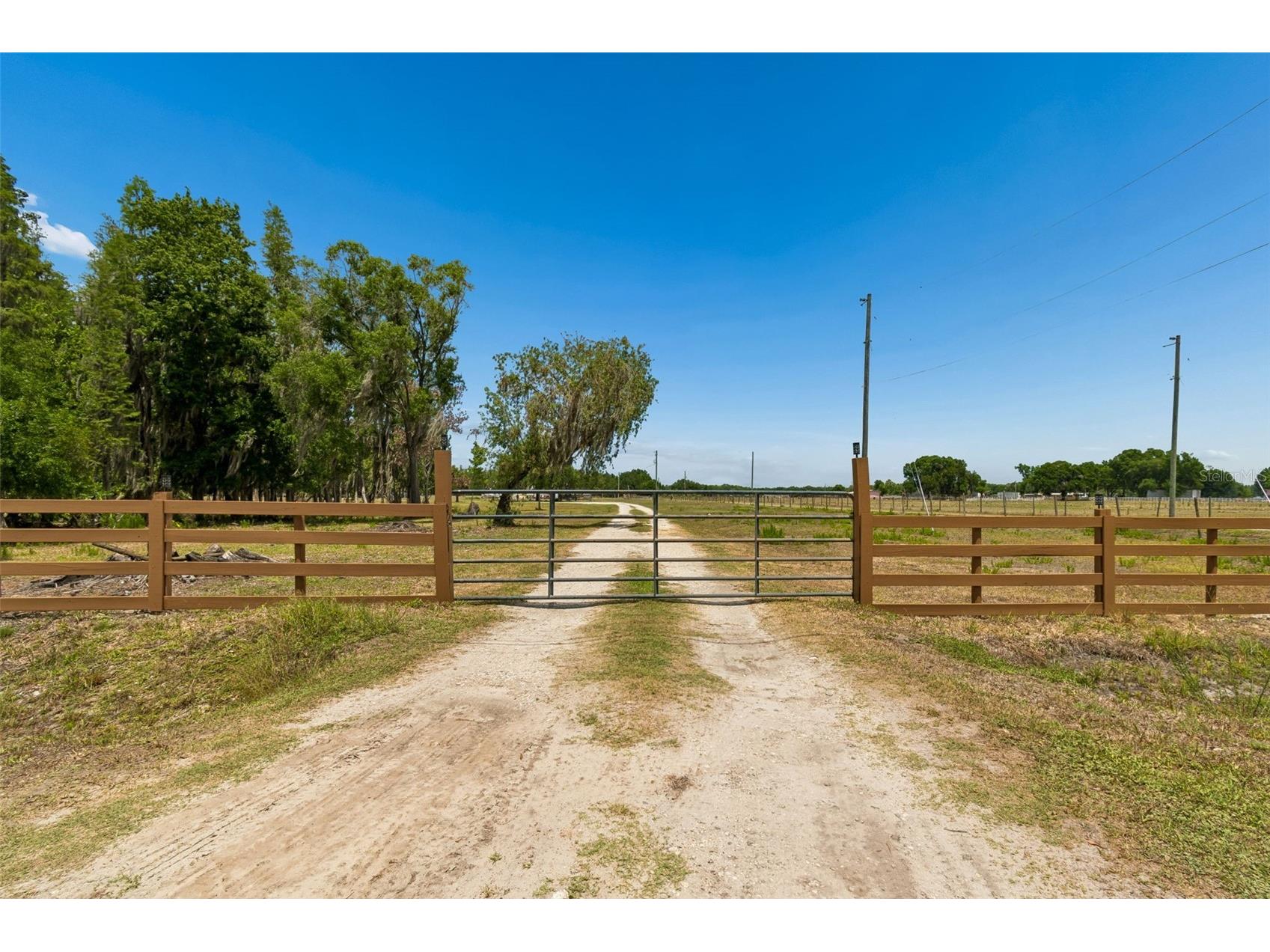 41451 Nipper Road Zephyrhills FL 33540 TB8505407 image49