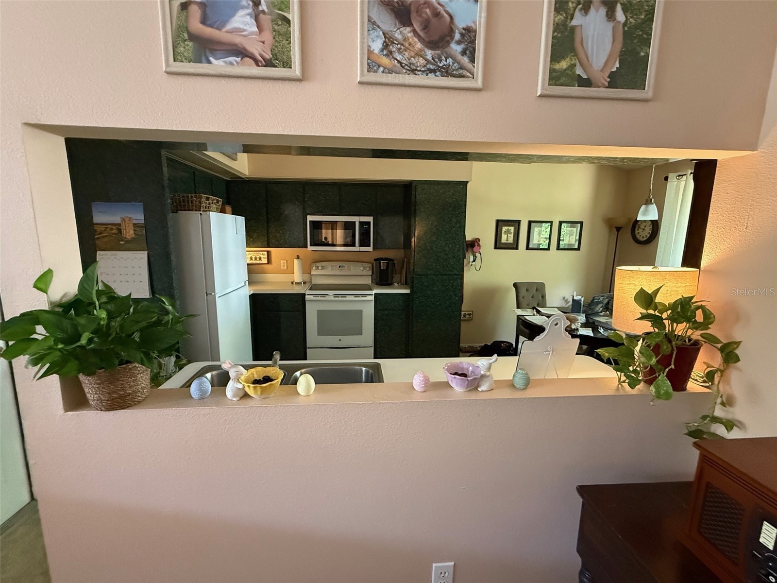 4147 La Pasida Lane New Port Richey FL 34655 TB8490965 image13