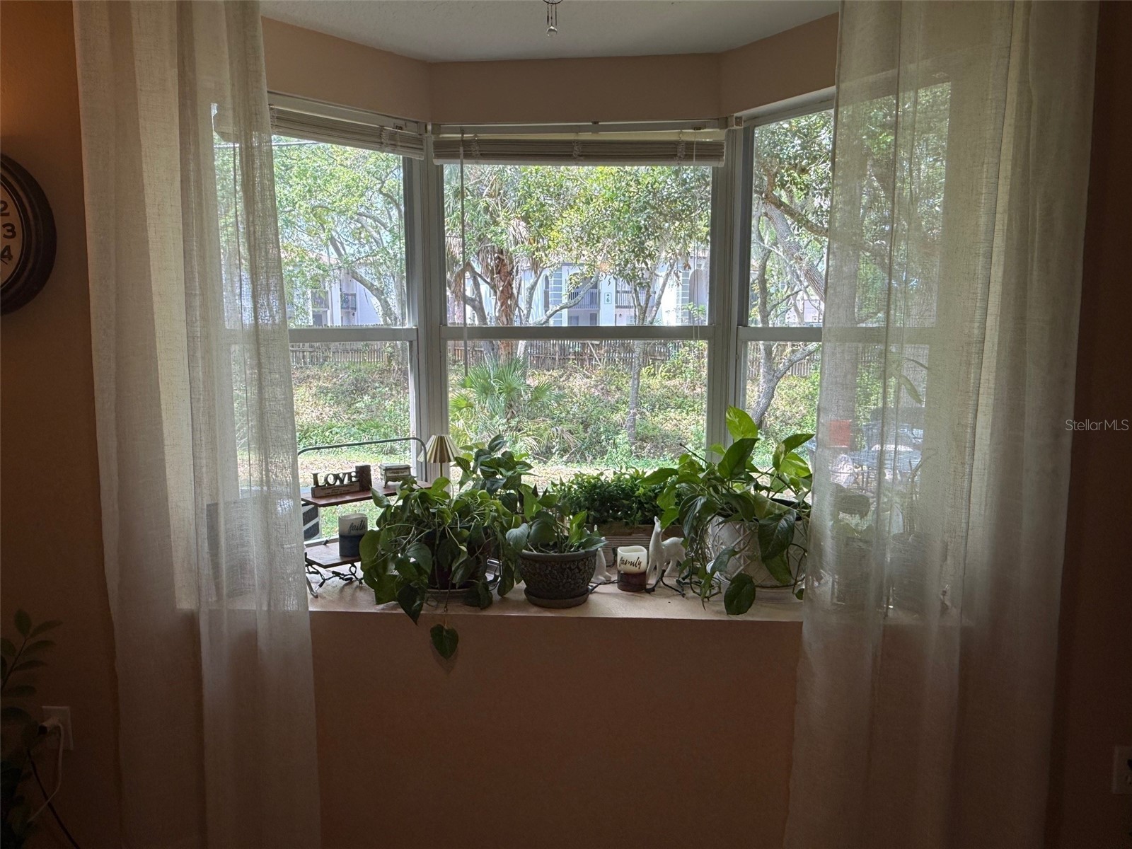 4147 La Pasida Lane New Port Richey FL 34655 TB8490965 image25