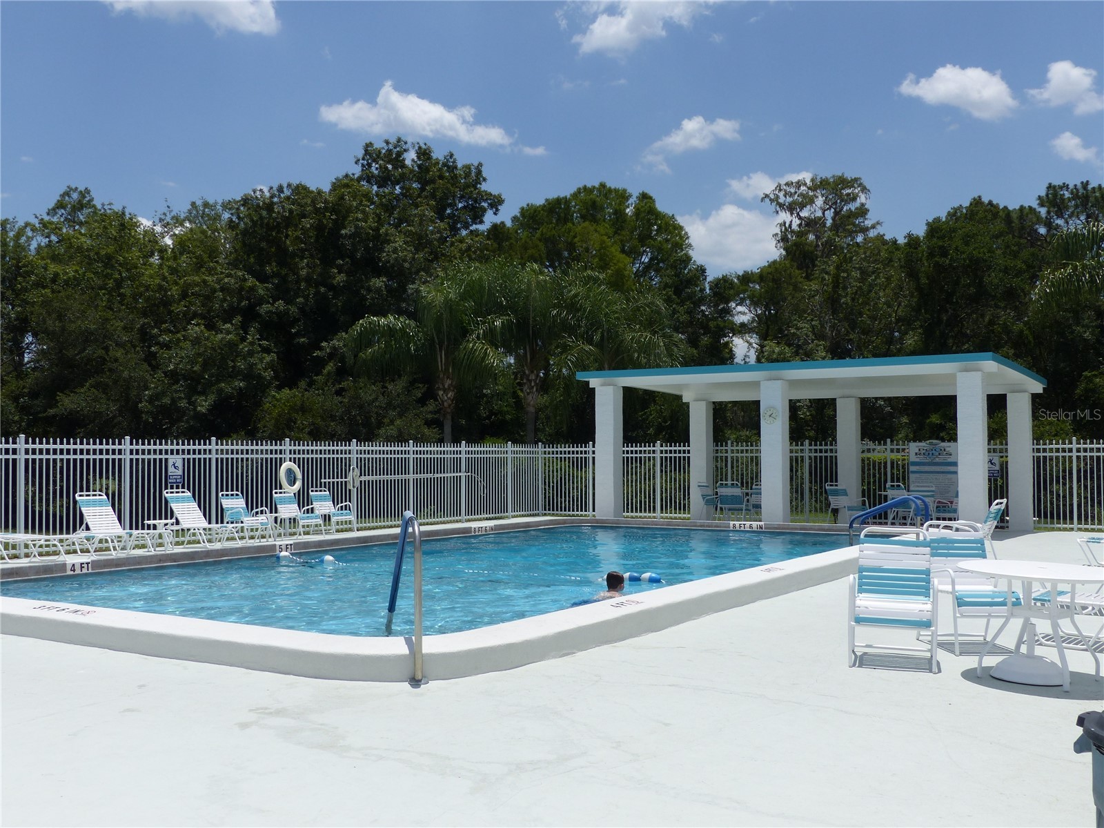 4147 La Pasida Lane New Port Richey FL 34655 TB8490965 image55