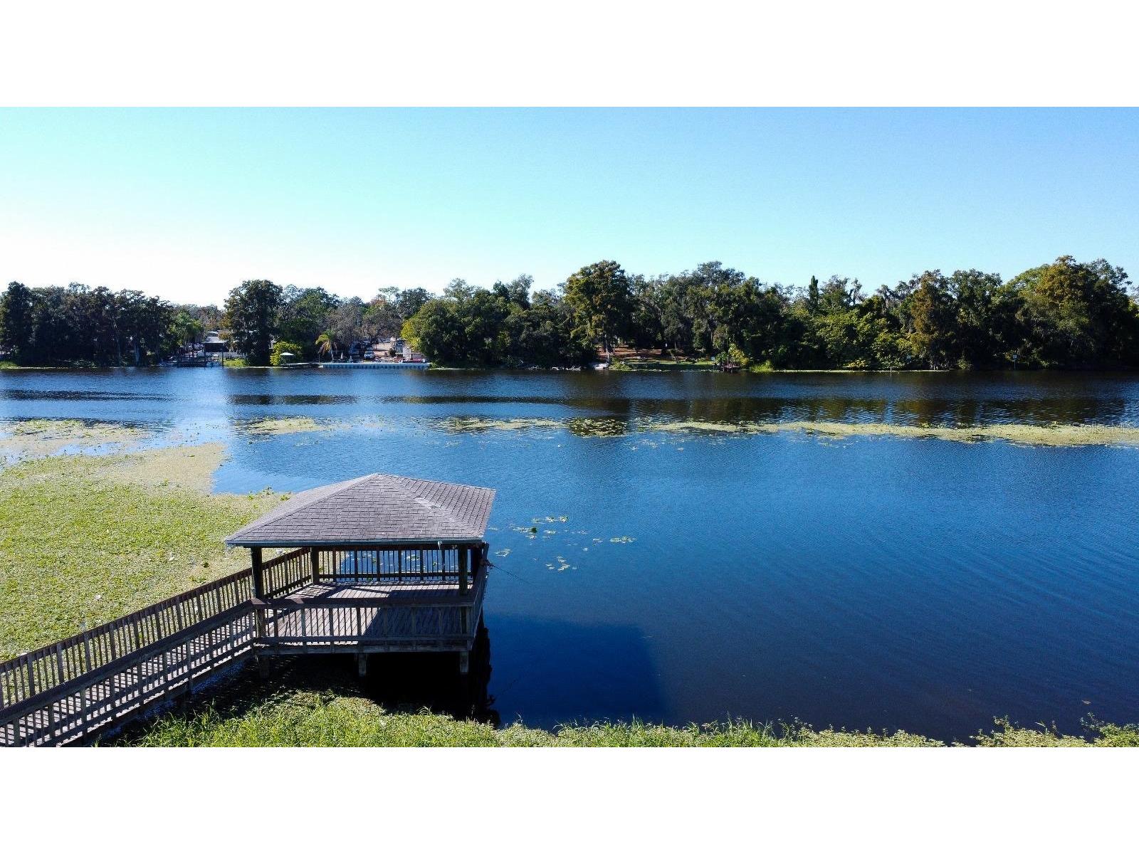 4148 Dolphin Drive #3 Tampa FL 33617 - HILLSBOROUGH RIVER TB8445353 image2