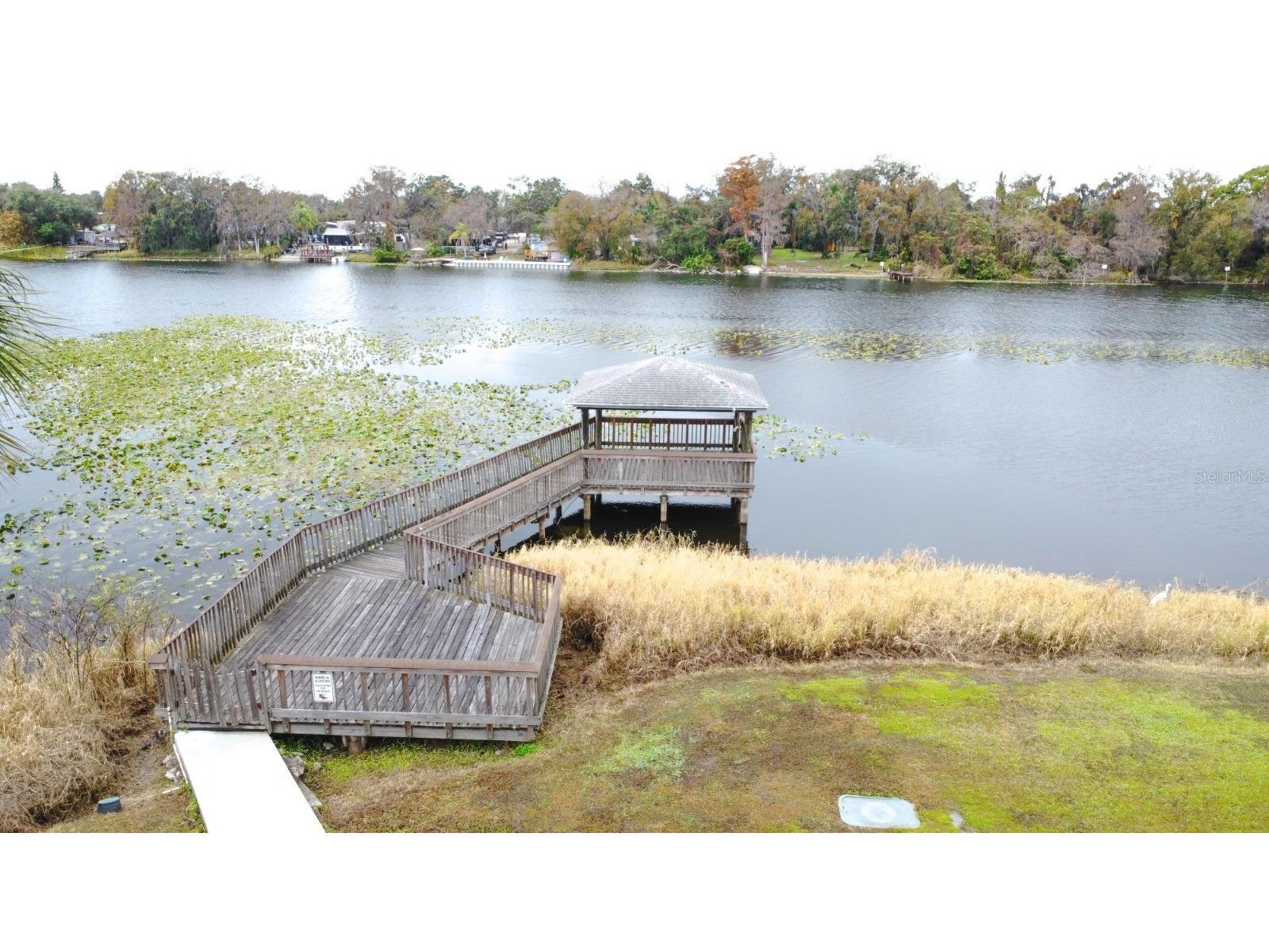 4148 Dolphin Drive #3 Tampa FL 33617 - HILLSBOROUGH RIVER TB8445353 image30