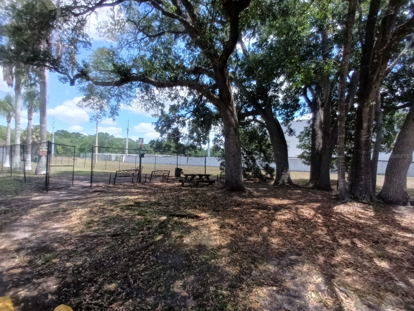 4148 Pershing Pointe Place #1 Orlando FL 32822 O6413565 image31