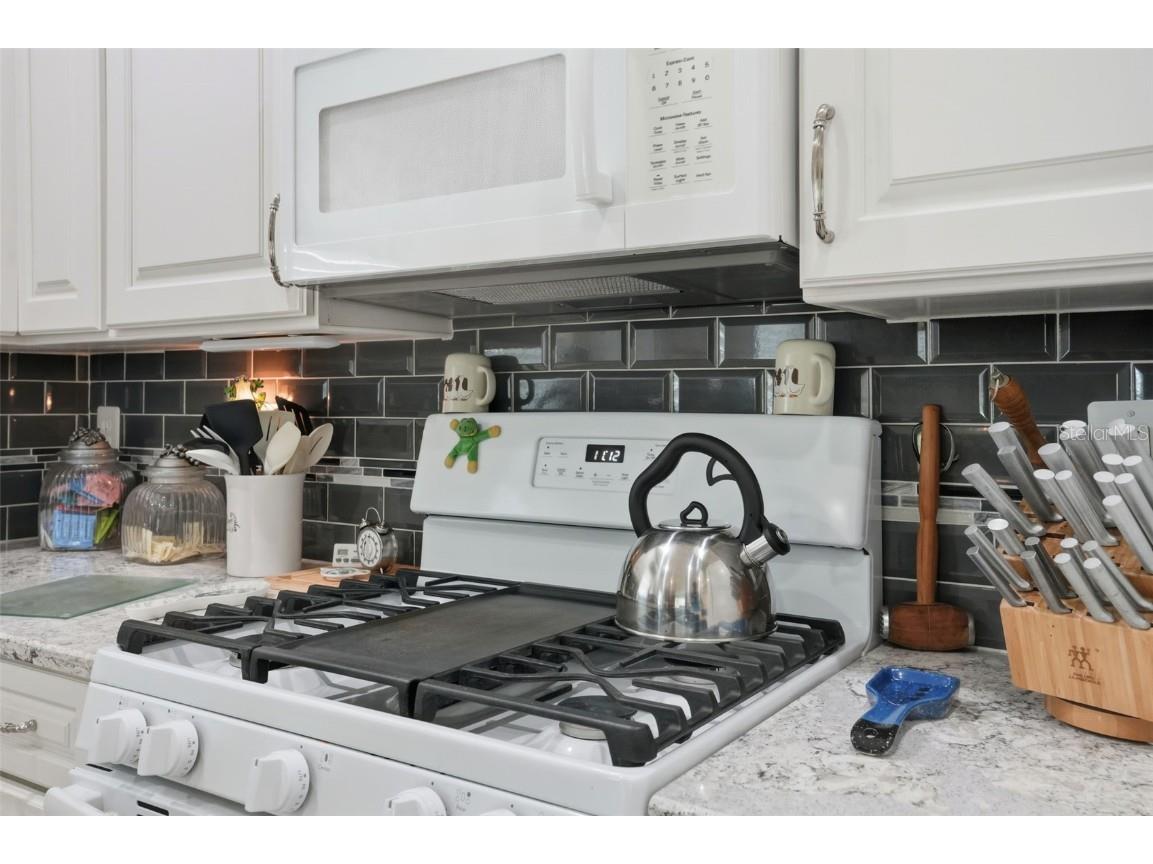 4149 Gevalia Drive Brooksville FL 34604 TB8434656 image10