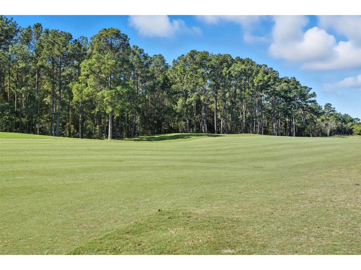 4149 Gevalia Drive Brooksville FL 34604 TB8434656 image36