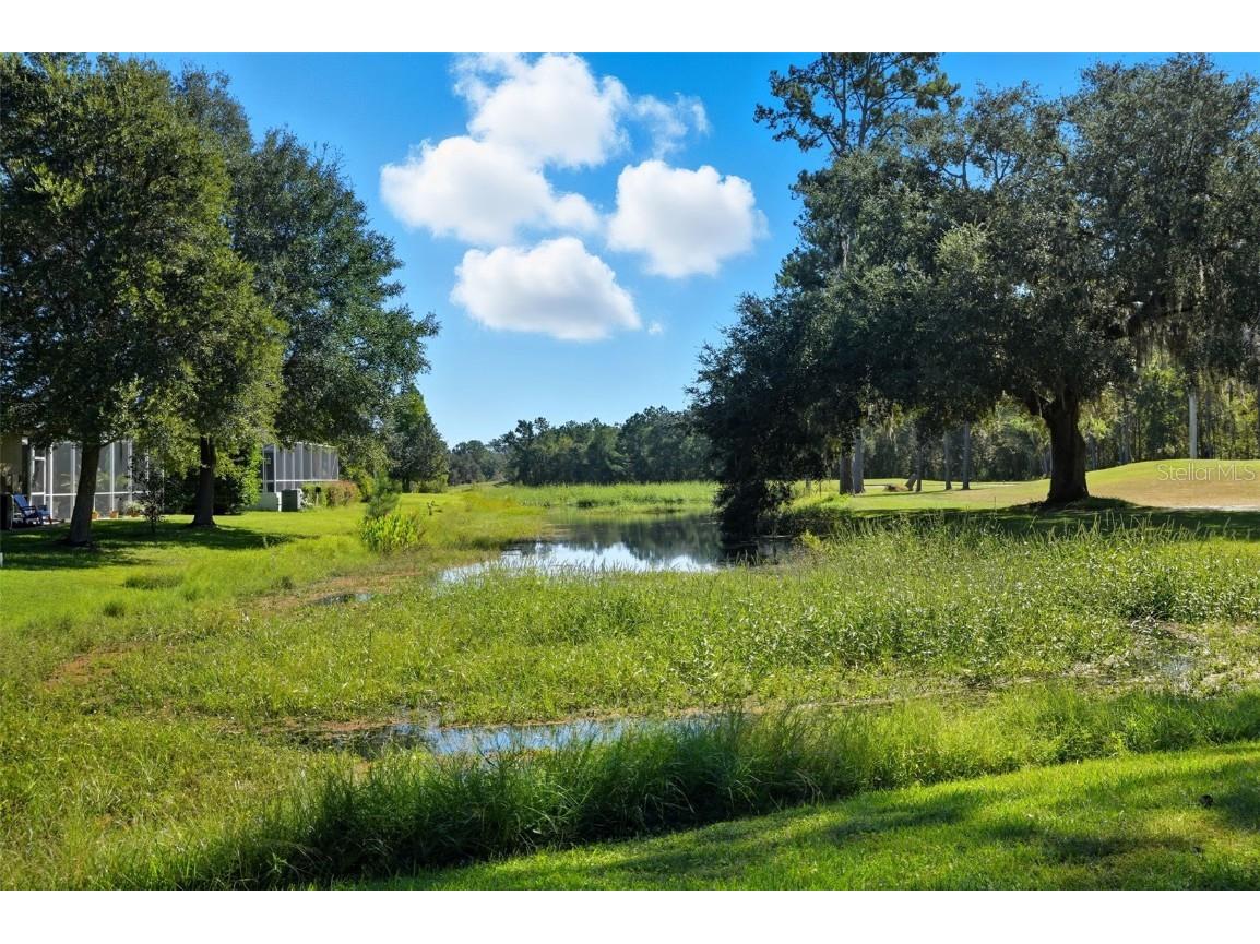 4149 Gevalia Drive Brooksville FL 34604 TB8434656 image37