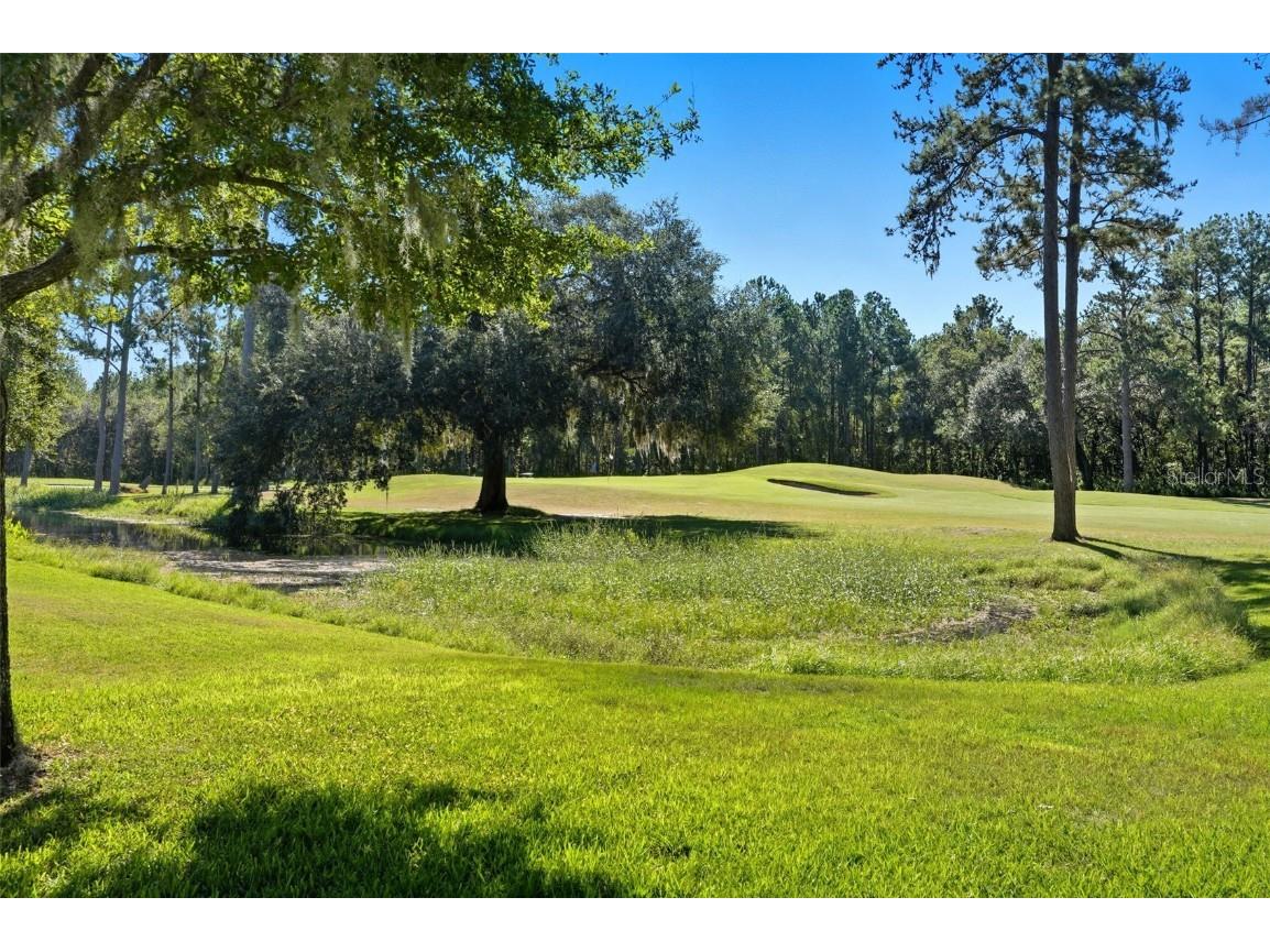 4149 Gevalia Drive Brooksville FL 34604 TB8434656 image38