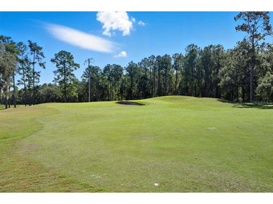 4149 Gevalia Drive Brooksville FL 34604 TB8434656 image39